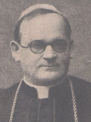 Bp Teodor Kubina